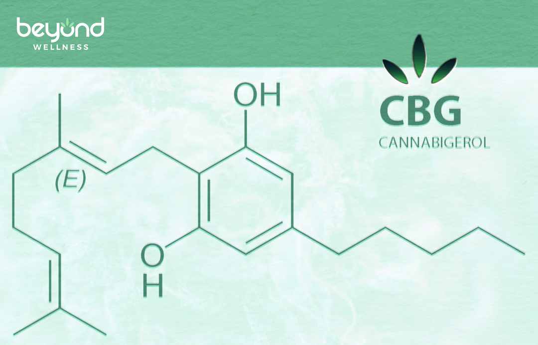 CBG: The Mother Cannabinoid, therapeutic potential unveiled